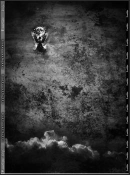 Schattenglanz - 2-m Panel - French Terry